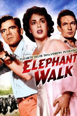 Elephant Walk (1953) บรรยายไทย - ดูหนังออนไลน
